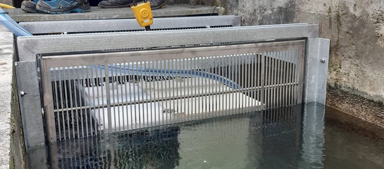 FishLab: Ein innovatives Videosystem zur nicht-invasiven Beobachtung und Zählung von Fischen