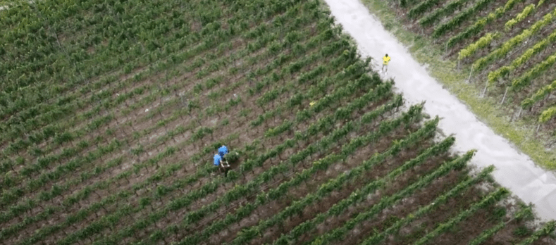 AQUA4D : un projet d’optimisation de l&rsquo;irrigation des vignes sur la commune de Salquenen