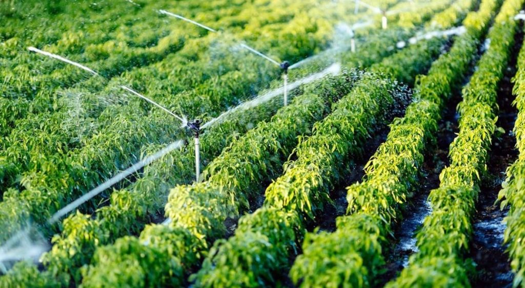 Idrica develops new technologies using Big Data and advanced data analytics to optimize irrigation