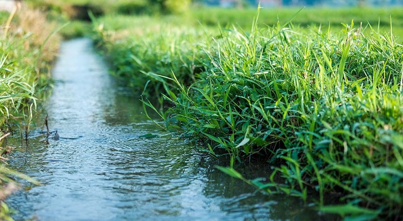 Sustainable irrigation can feed billions, make agriculture resilient to climate change