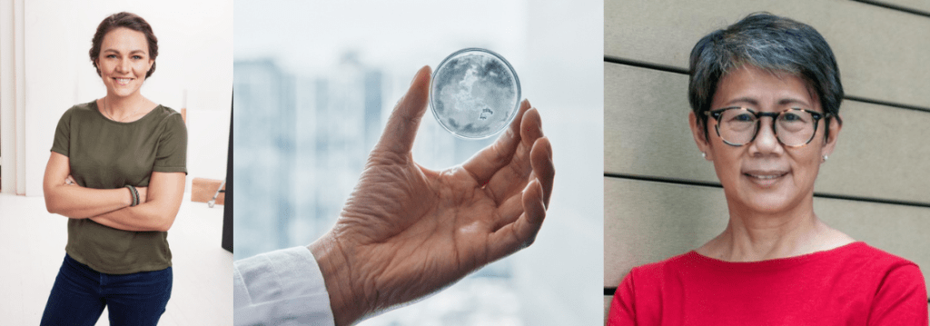 Reducing microplastic from fashion: H&M Foundation funds soundwave innovation