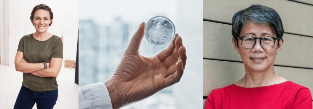 Reducing microplastic from fashion: H&M Foundation funds soundwave innovation