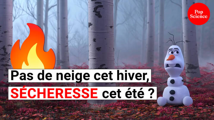 Sécheresse, incendies: l'été 2023 ressemblera-t-il à celui de 2022? [VIDEO]