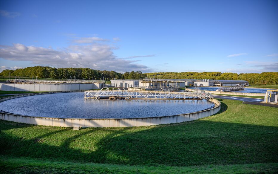 À Chartres, des sangsues et des crevettes pour détecter des micropolluants dans l’eau