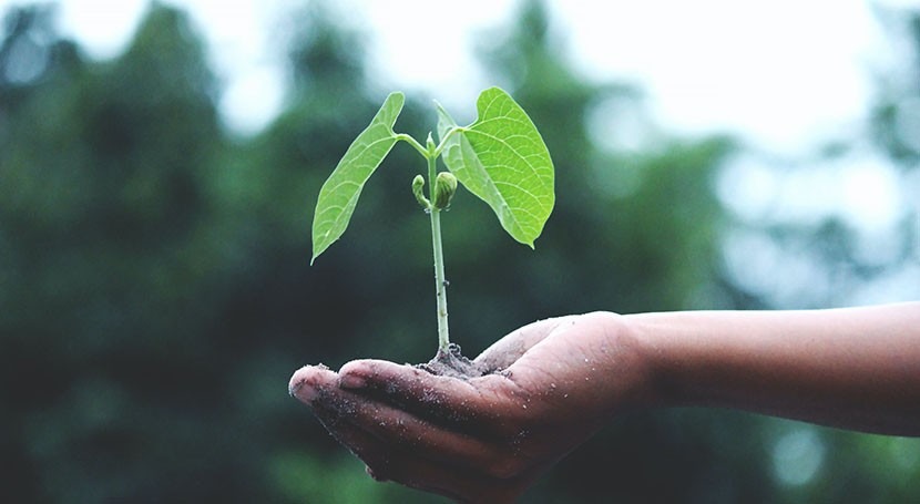 How climate technology is being ramped up