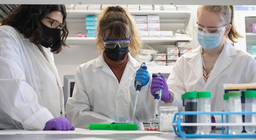 Study uncovers impact of microplastics in drinking water on mice's behavior and immune system