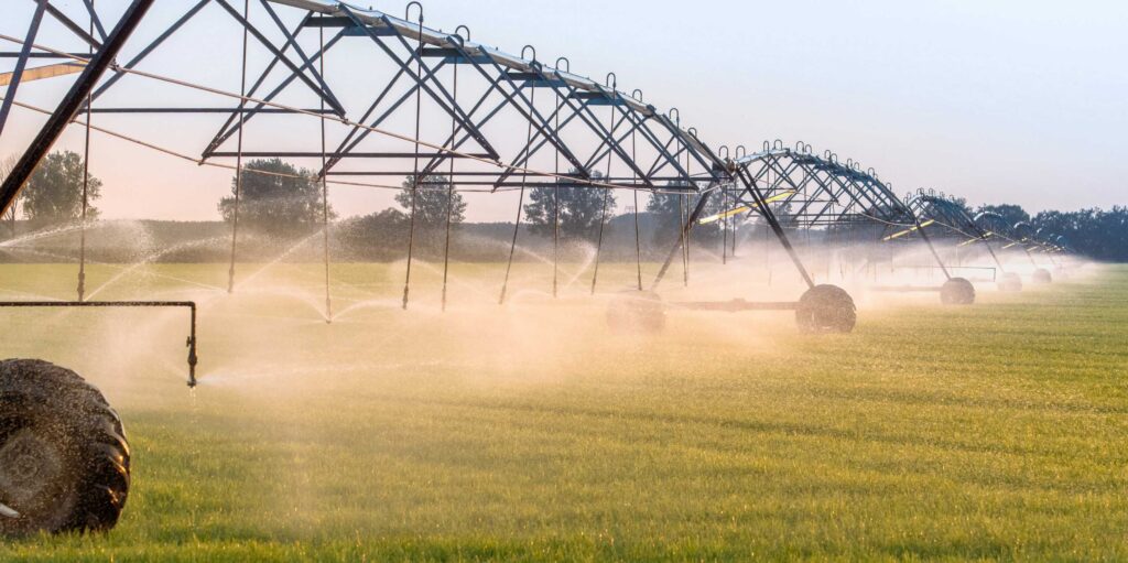 Weltweit sinken die Grundwasserpegel immer schneller