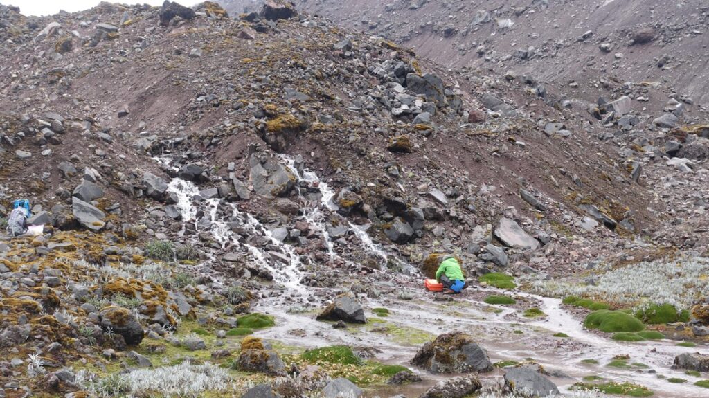 Micro-organismes dans les cours d’eau: bientôt une biobanque mondiale en Valais ?