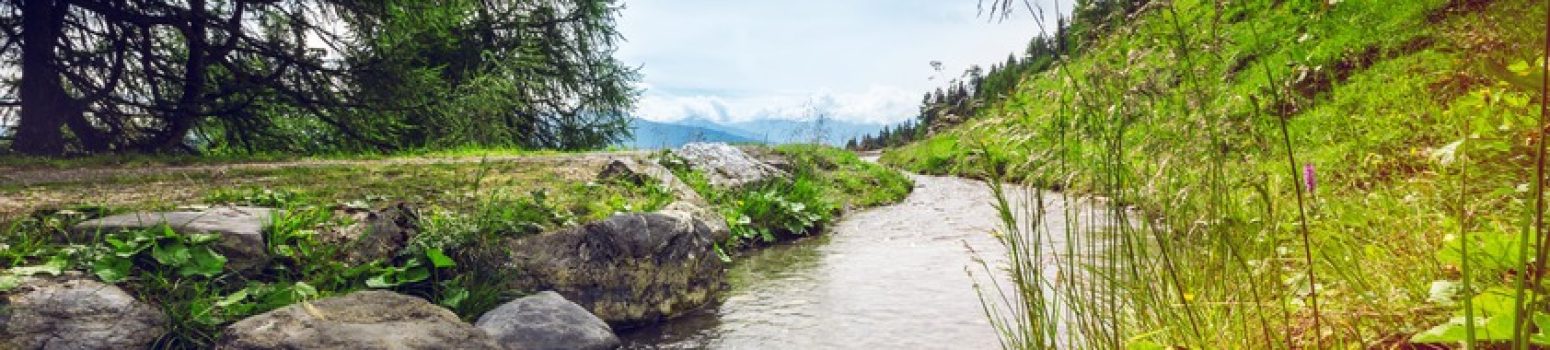 Bisse du Tsittoret en été